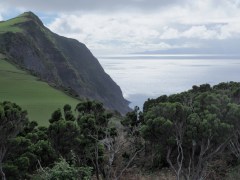 BA122705_v1