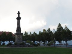 VA118591