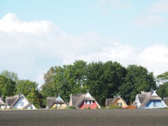 VA128658