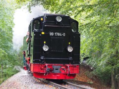 VA178795